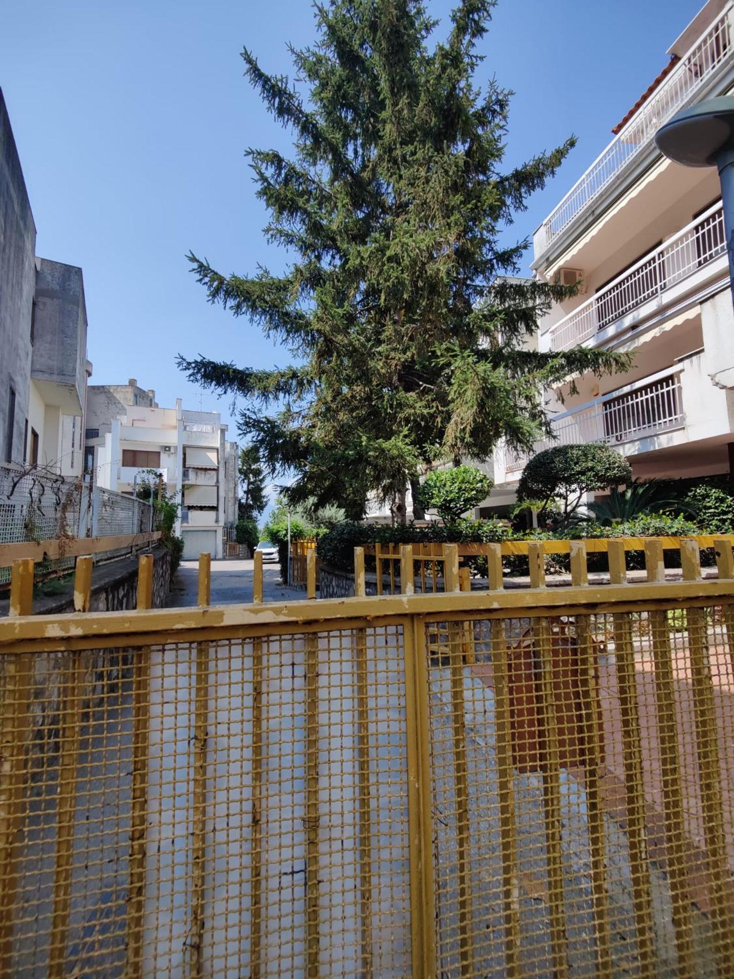 Villa Varano Castellammare di Stabia Exteriör bild